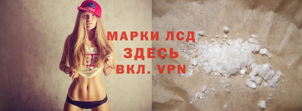 хмурый Аркадак