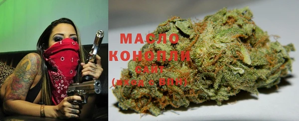винт Надым