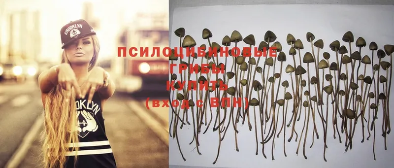 Галлюциногенные грибы MAGIC MUSHROOMS  hydra ONION  Калтан 