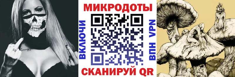 Галлюциногенные грибы прущие грибы  Калтан 