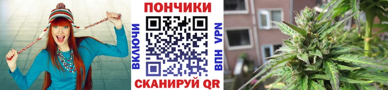 магазин    Калтан  Бошки марихуана индика 